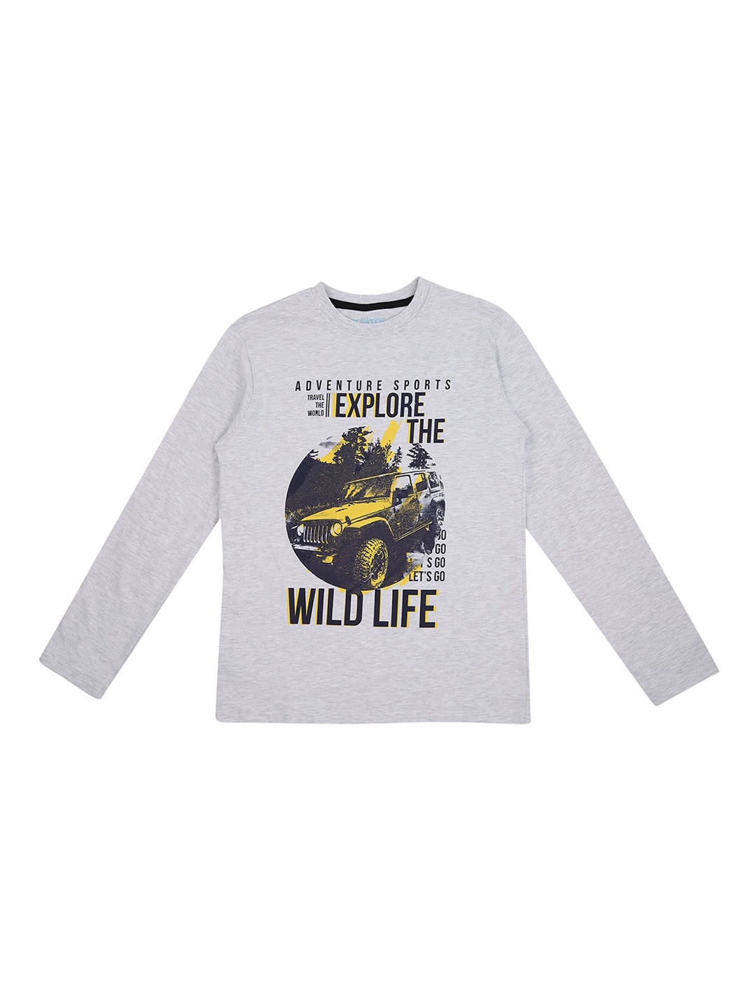 

Pantaloons Junior Boys Grey Printed Round Neck Pure Cotton T-shirt