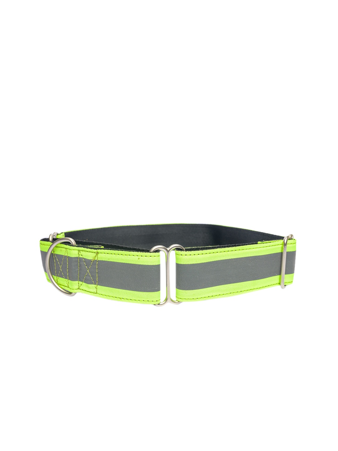 

PETWALE Reflective Green Dog Martingale Collar - Large