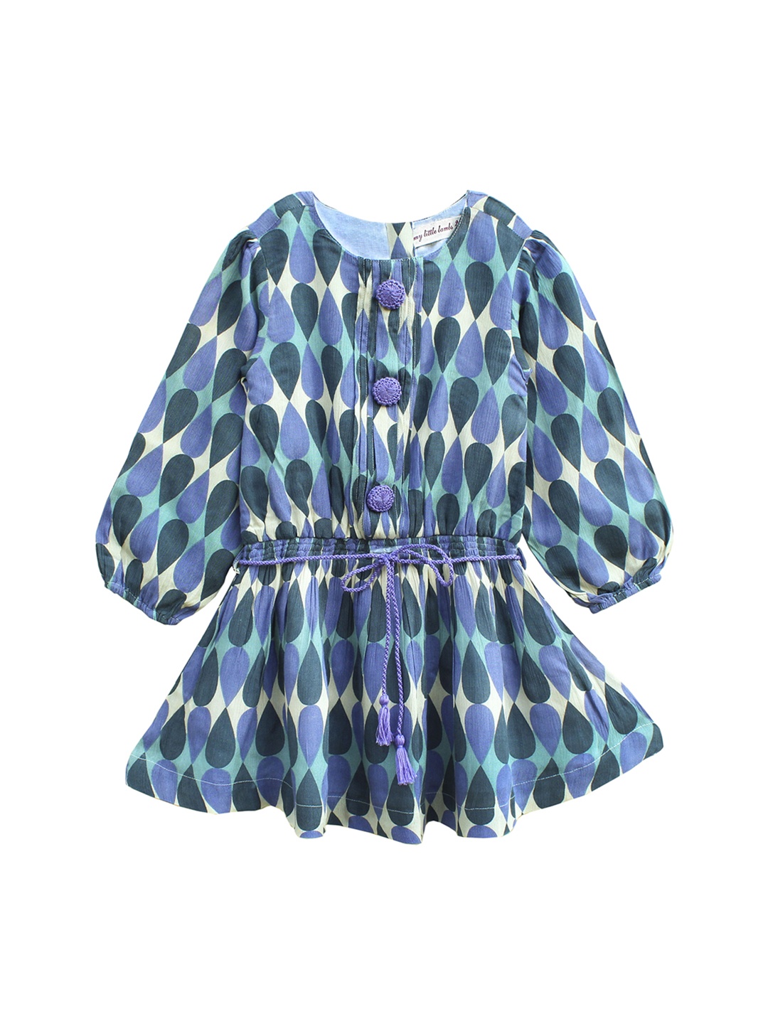 My Little Lambs Girls Blue Printed Cotton Fit and Flare Dress