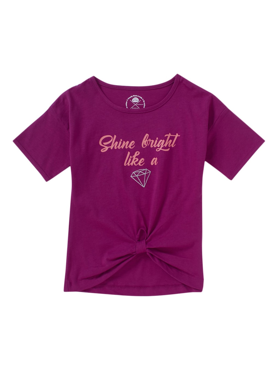 

Cub McPaws Girls Burgundy Printed Round Neck T-shirt