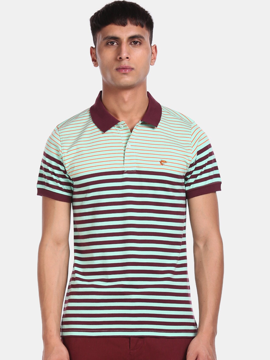 

Ruggers Men Sea Green Striped Polo Collar T-shirt