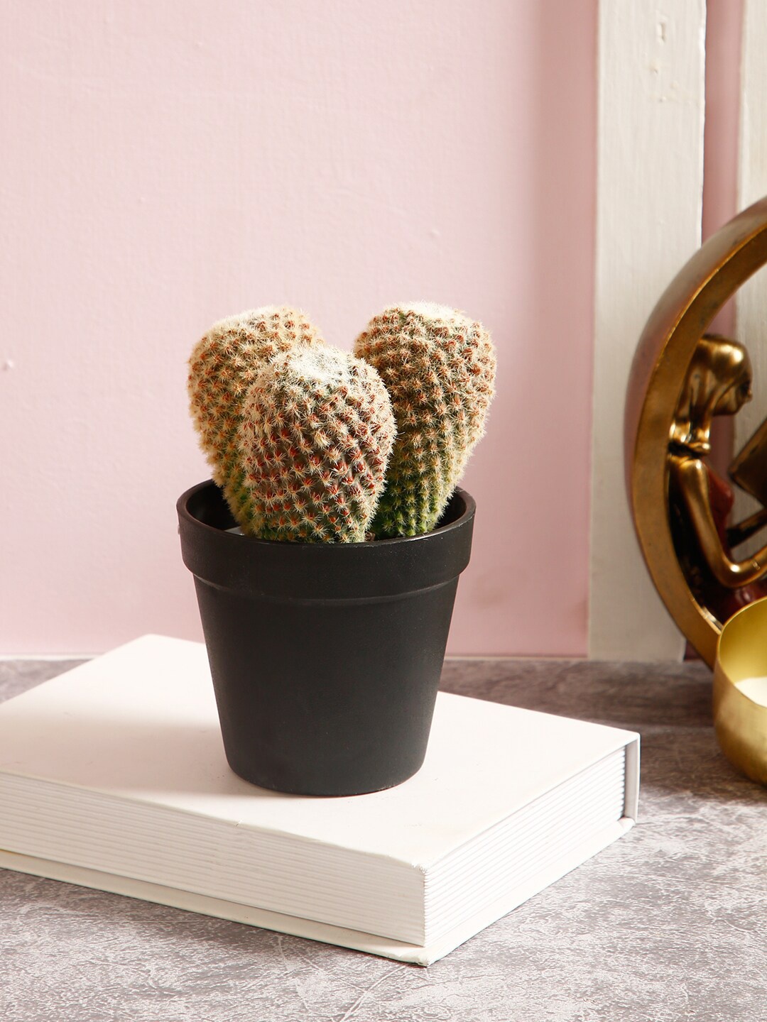 

TAYHAA Green & Brown Artificial Cactus Plant with Black Pot