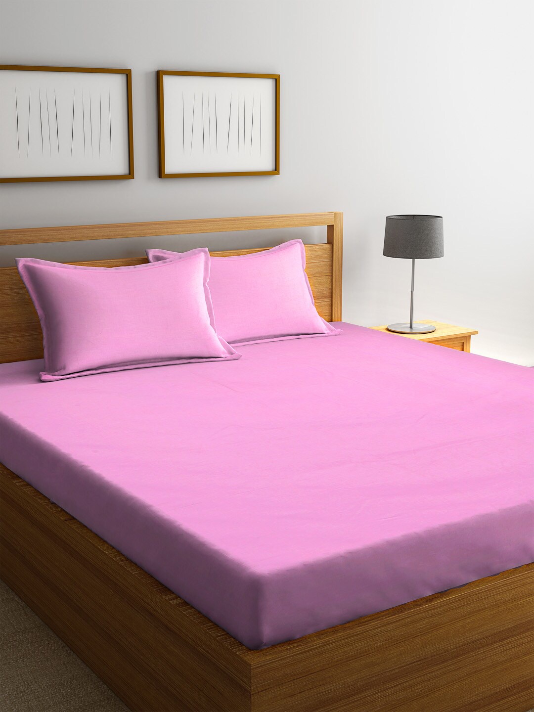 Trident Pink Solid 144 TC Cotton 1 Queen Bedsheet with 2 Pillow Covers