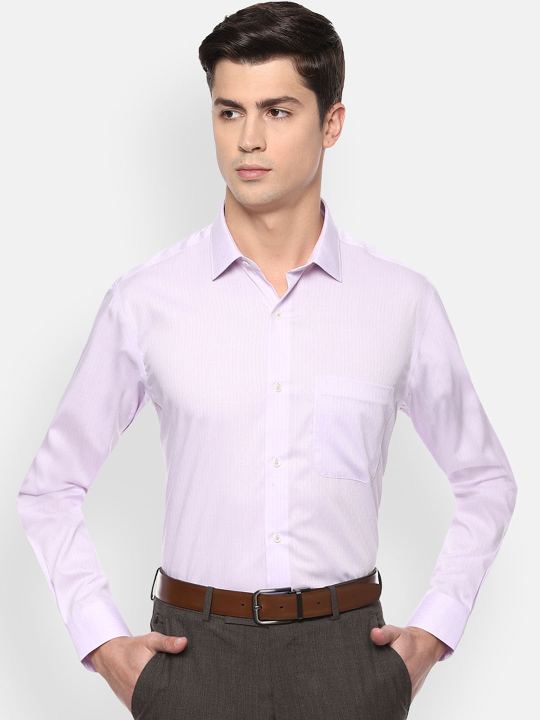 

Van Heusen Men Purple Regular Fit Striped Formal Cotton Shirt