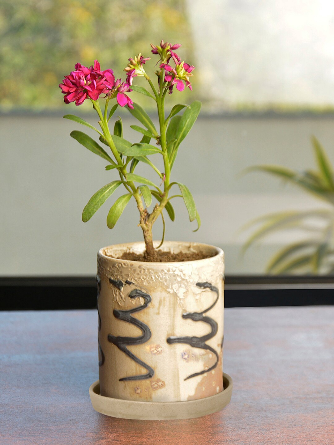 

StyleMyWay Beige & Brown Ceramic Planter With Tray