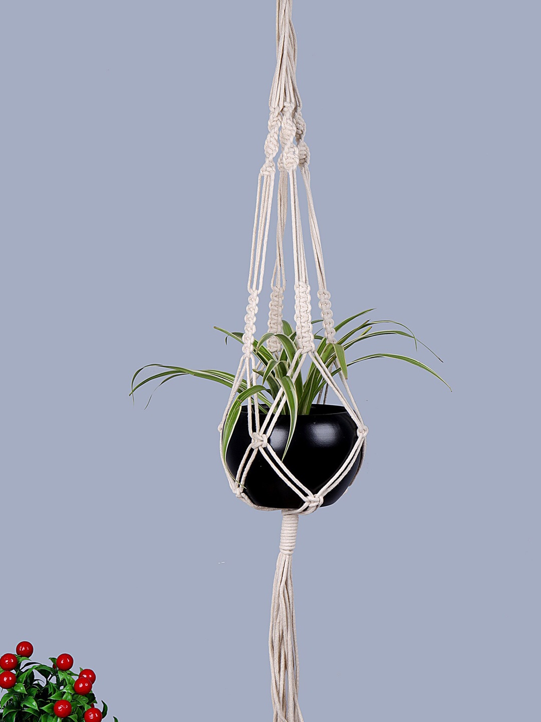

Homesake Set Of 2 Black Solid Hanging Macrame Planter With Metal Pot