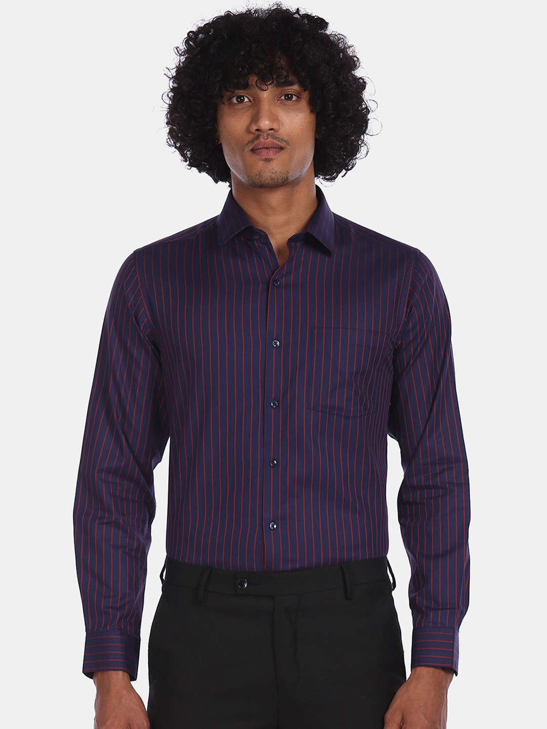 

Arrow Men Blue Regular Fit Striped Formal Shirt