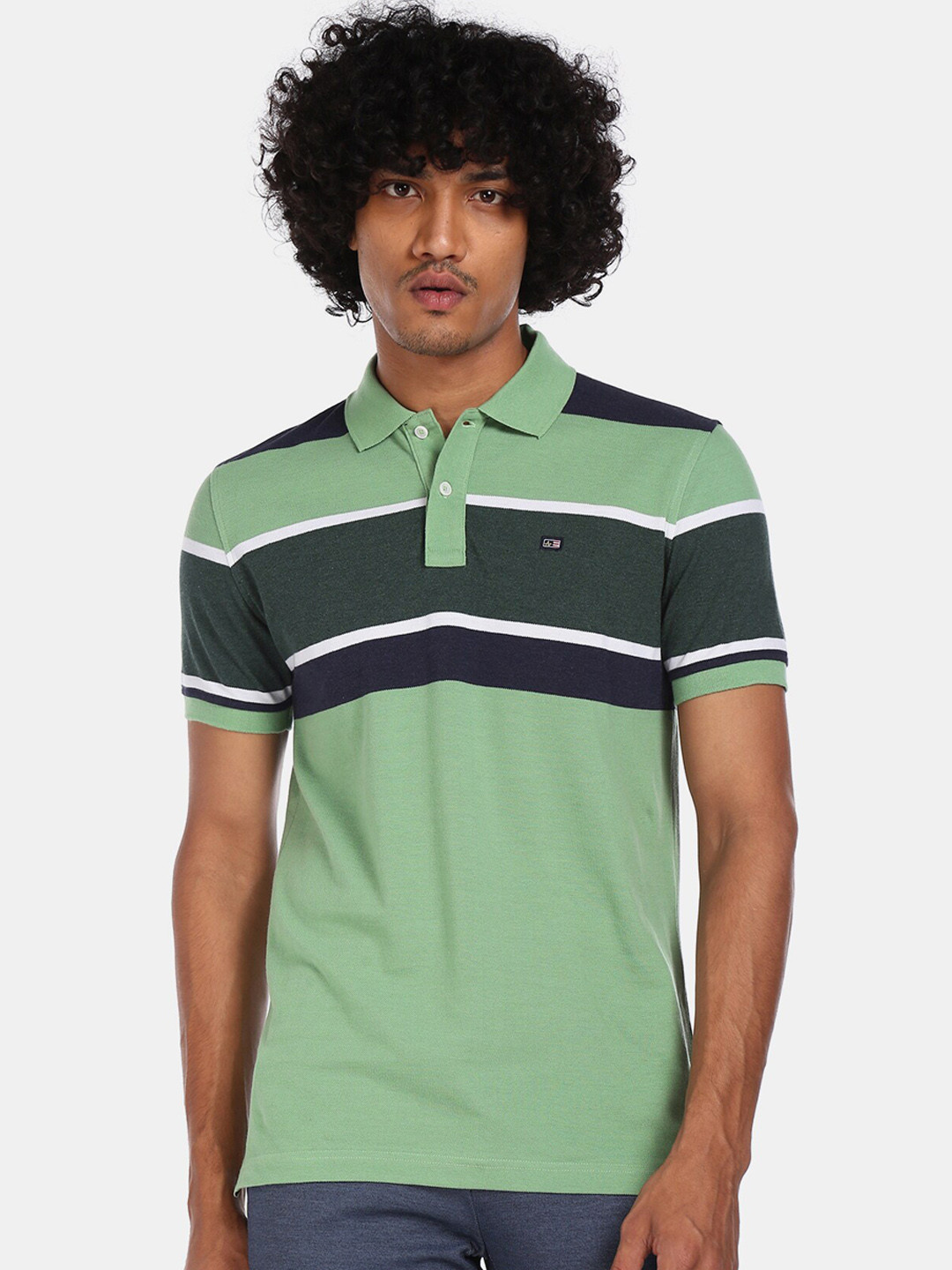 

Arrow Sport Men Green & Navy Blue Striped Polo Collar T-shirt