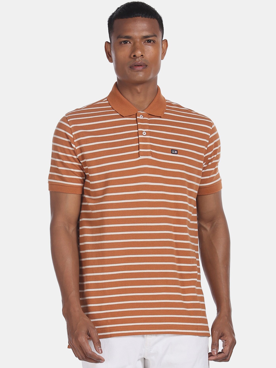 

Arrow Sport Men Brown Striped Henley Neck T-shirt