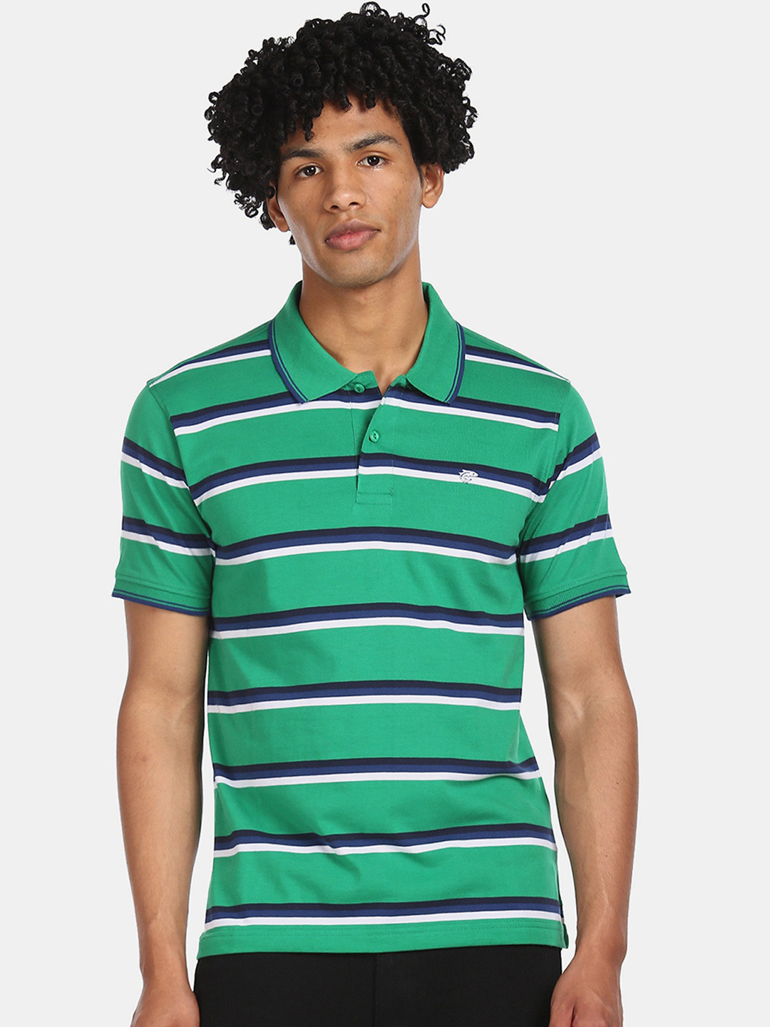 

Ruggers Men Green Striped Polo Collar T-shirt