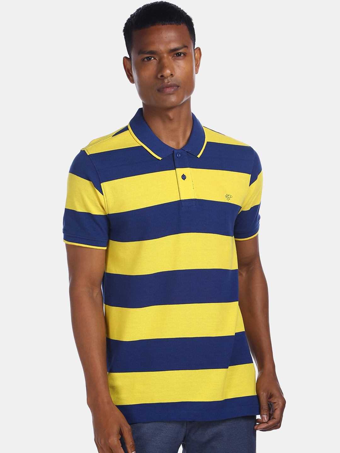 

Ruggers Men Blue Striped Polo Collar T-shirt