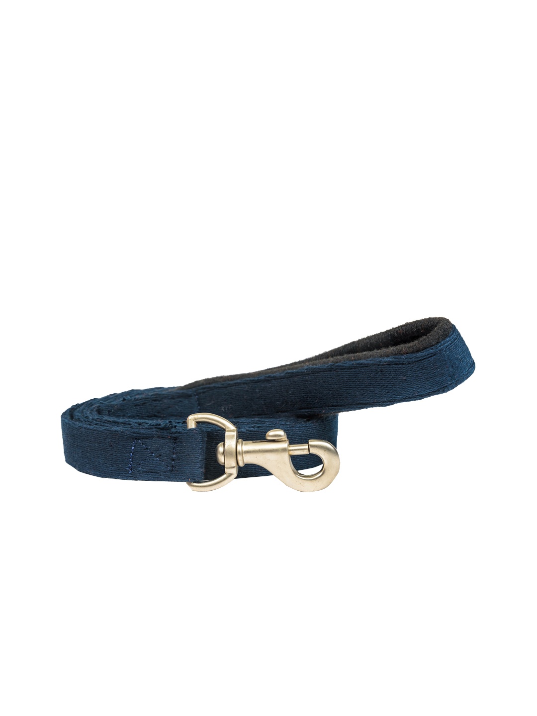 PETWALE Teal Blue Solid Padded Handle Dog Leash