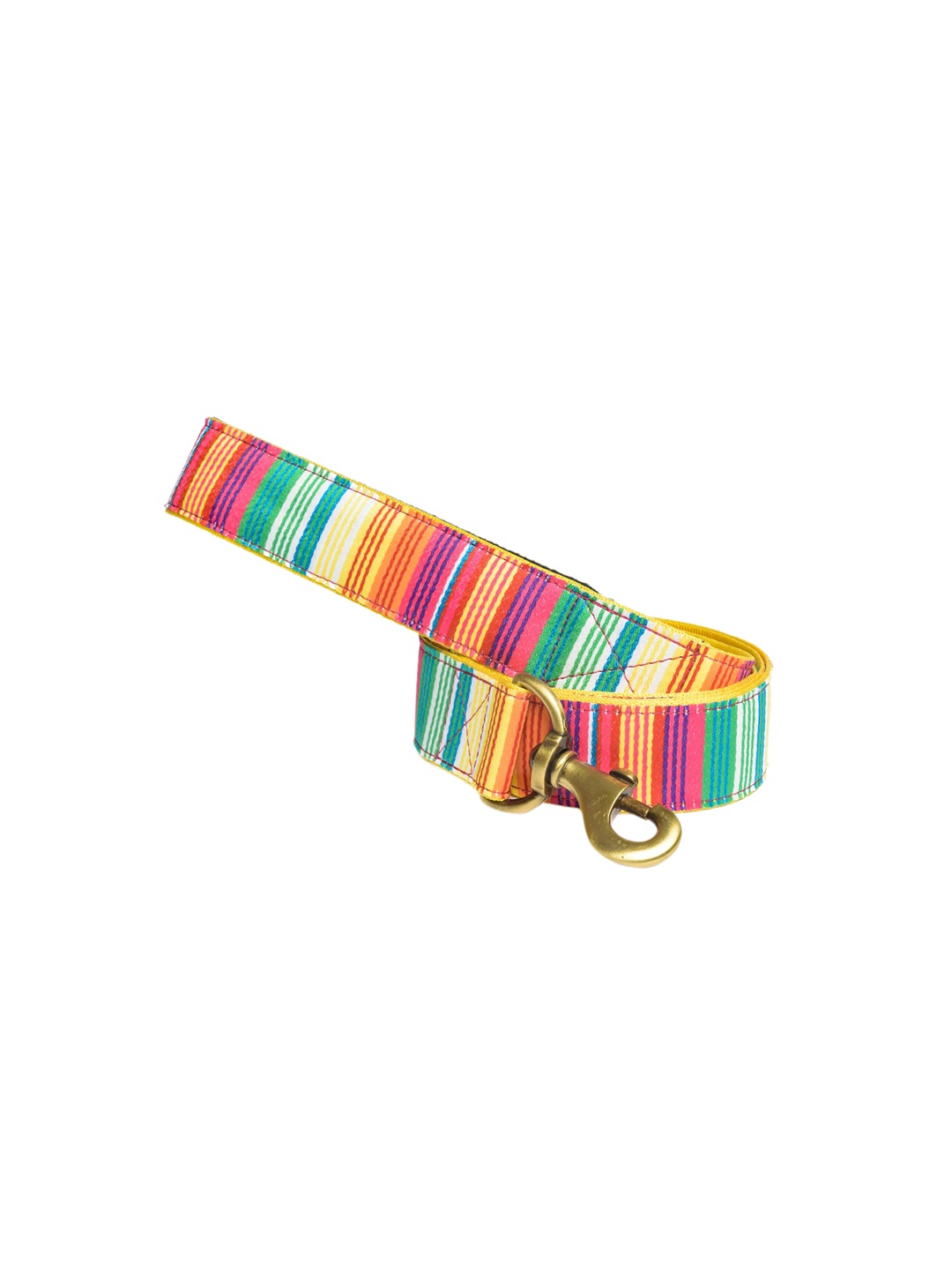 

PETWALE Multicoloured Striped Padded Pet Leash, Multi