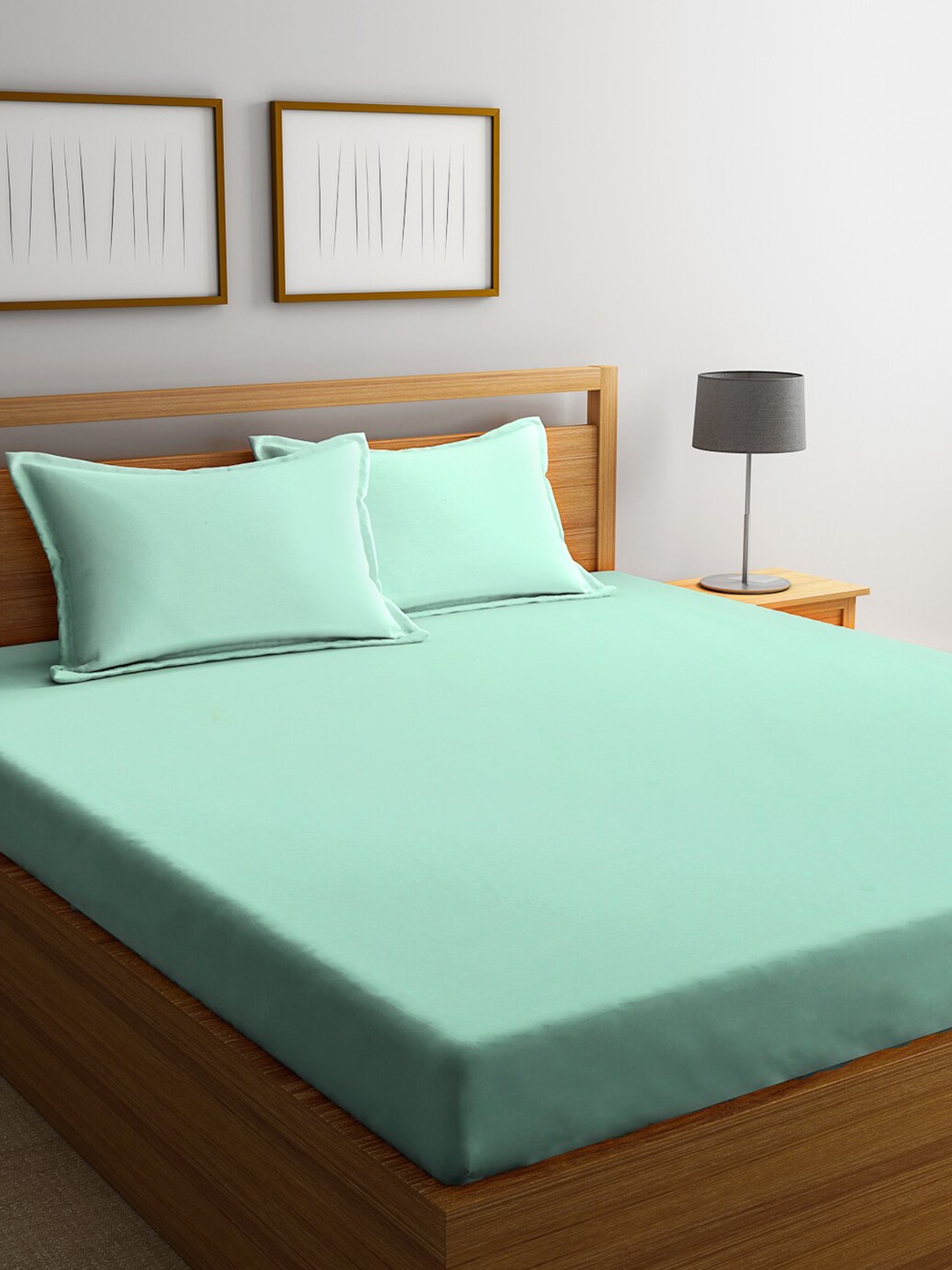 

Trident Green Solid 144 TC Cotton 1 Queen Bedsheet with 2 Pillow Covers