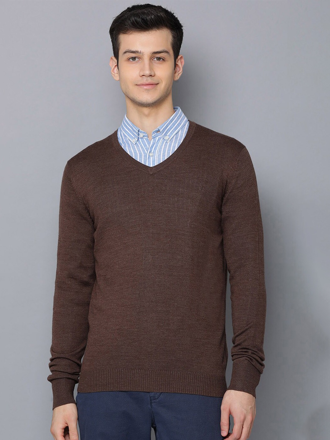 

Bruun & Stengade Men Brown Solid V-Neck T-shirt