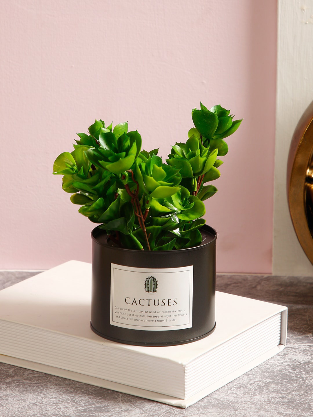 

TAYHAA Green & Black Artificial Jade Plant With Metal Pot