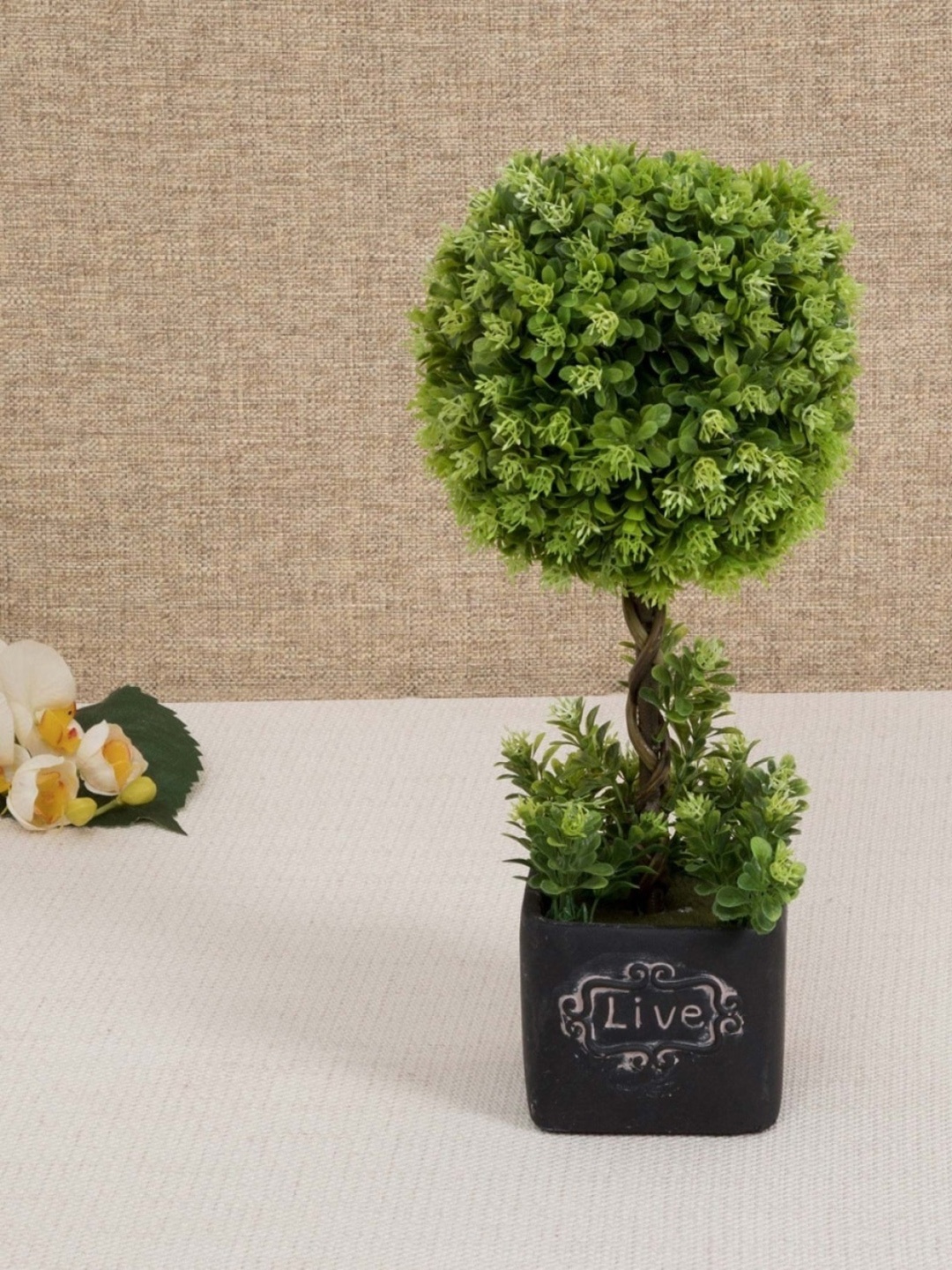 

Home Centre Green Valencia Bean With Tassels Vase