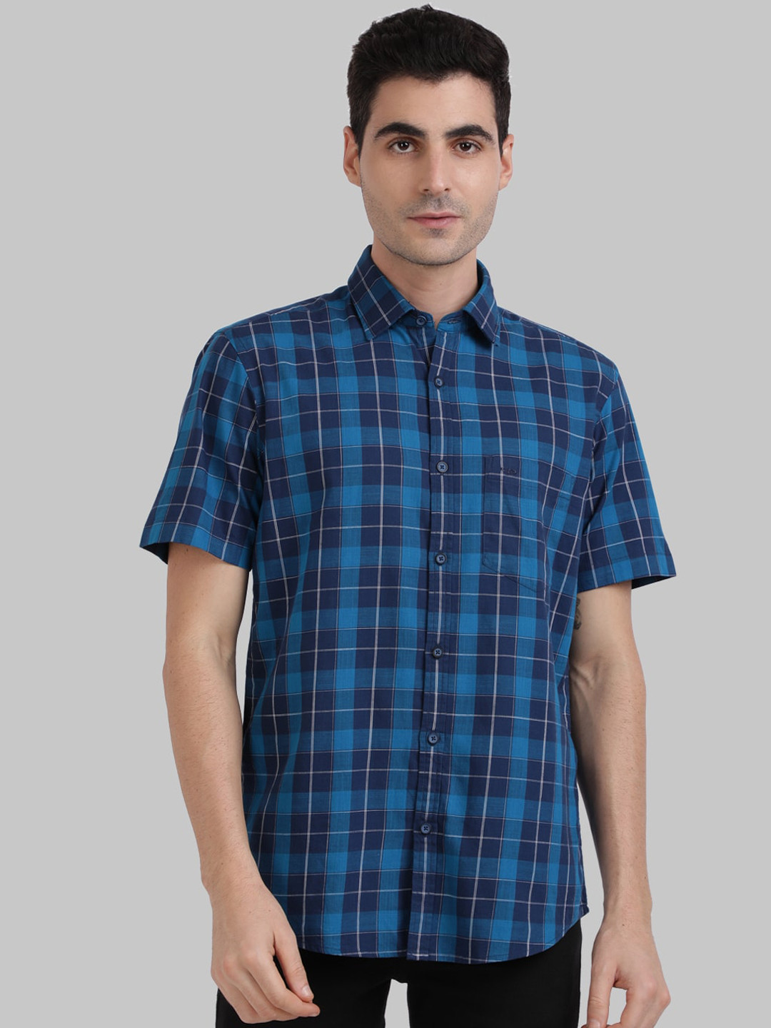 

ColorPlus Men Blue & White Tailored Fit Checked Casual Shirt