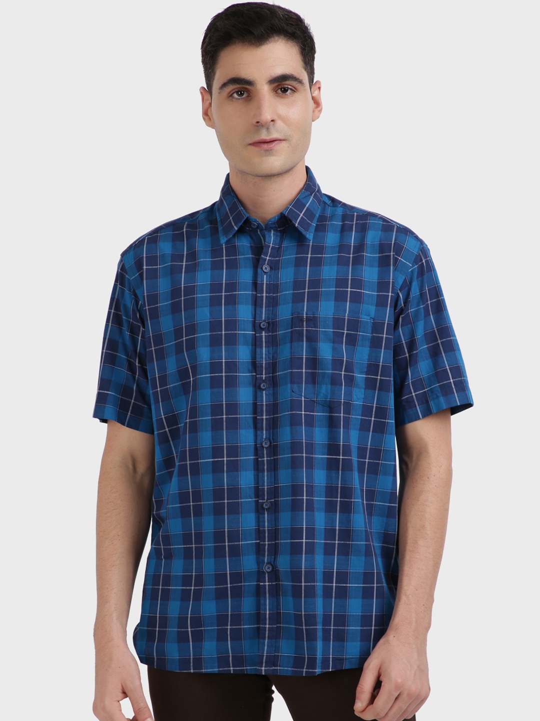 

ColorPlus Men Blue Checked Casual Shirt