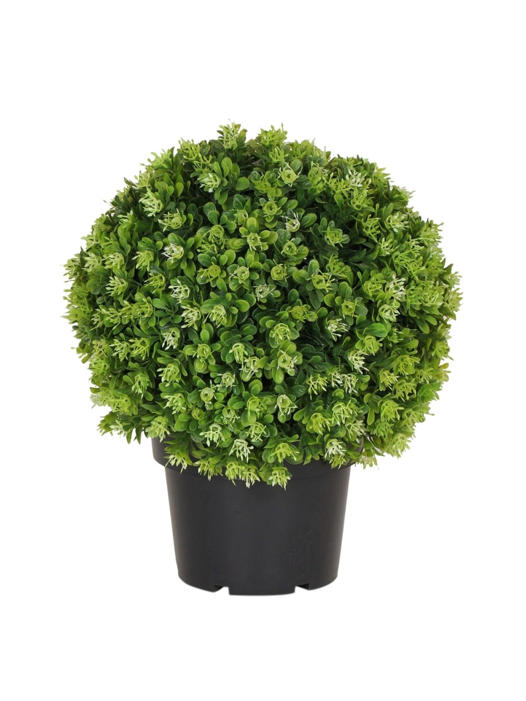 

Home Centre Black & Green Hues Bean Ball Plastic Pot