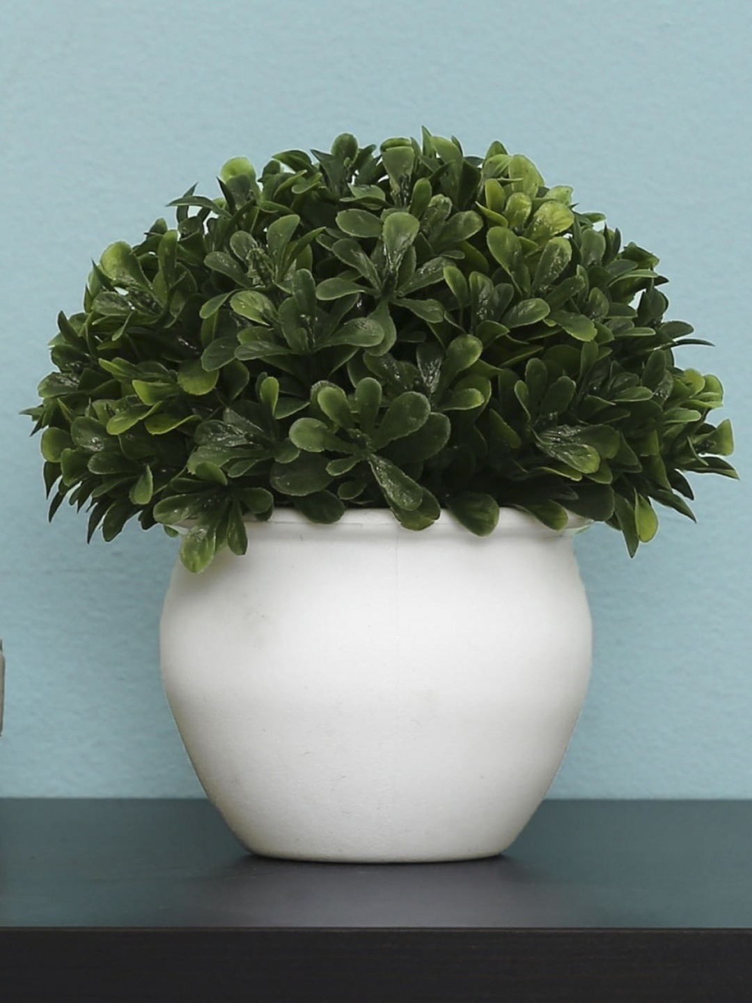 

Home Centre Green & White Sachi Potted Artificial Bean Ball Plants with Plastic Pot