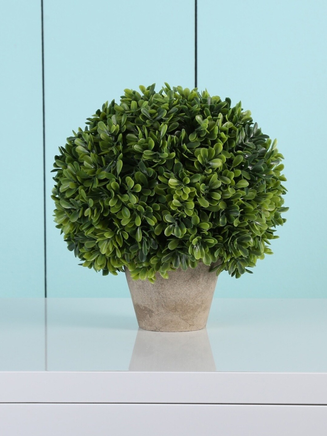 

Home Centre Green & Beige Potted Bean Ball Plastic Pot