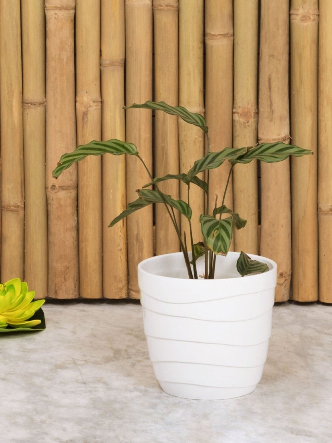 

Home Centre White Handmade Madison-Mackenzie Textured Waterproof Planter