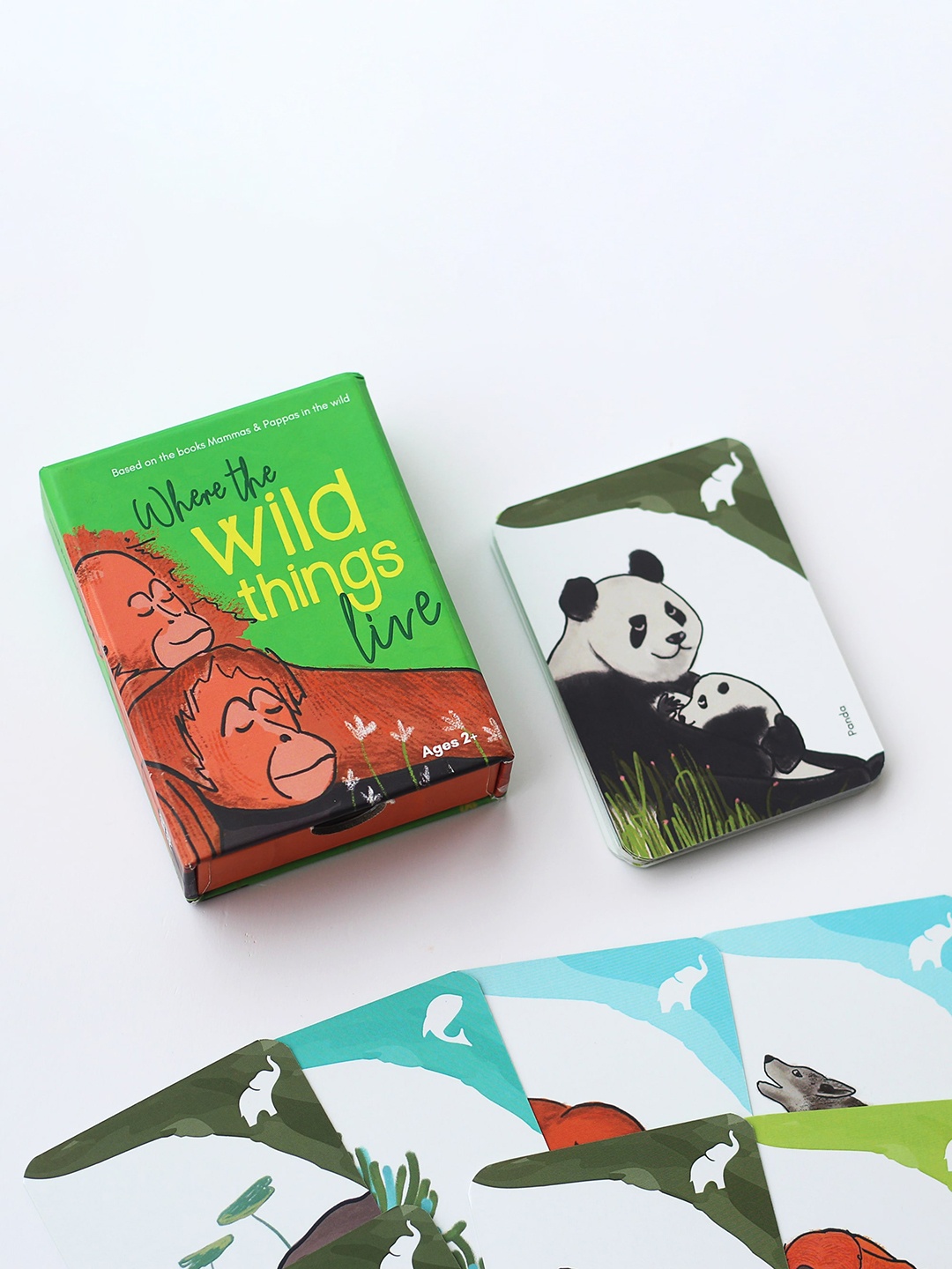 

happywagon Where The Wild Things Live Kids Flashcards, Green