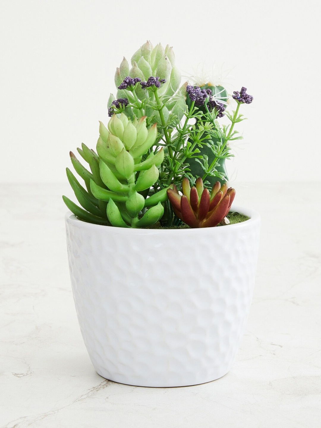 

Home Centre Green & White Gardenia Artificial Succulents In Ceramic Pot