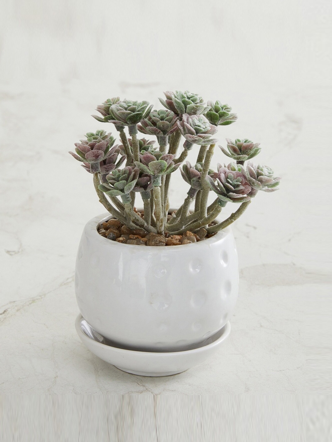 

Home Centre Green Gardenia Artificial Bonsai With Ceramic Pot