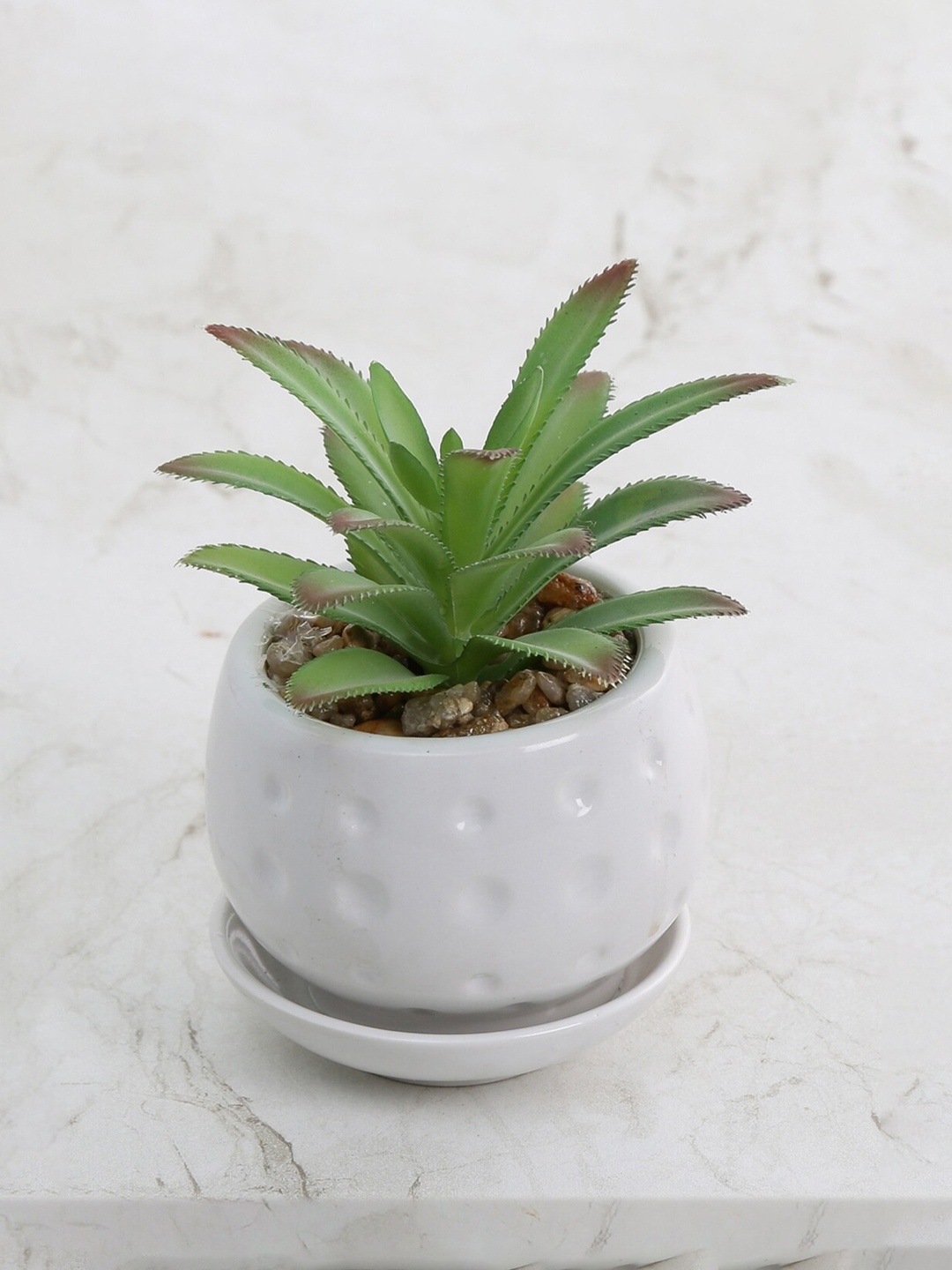 

Homecentre Green Gardenia Artificial Bonsai With Ceramic Pot