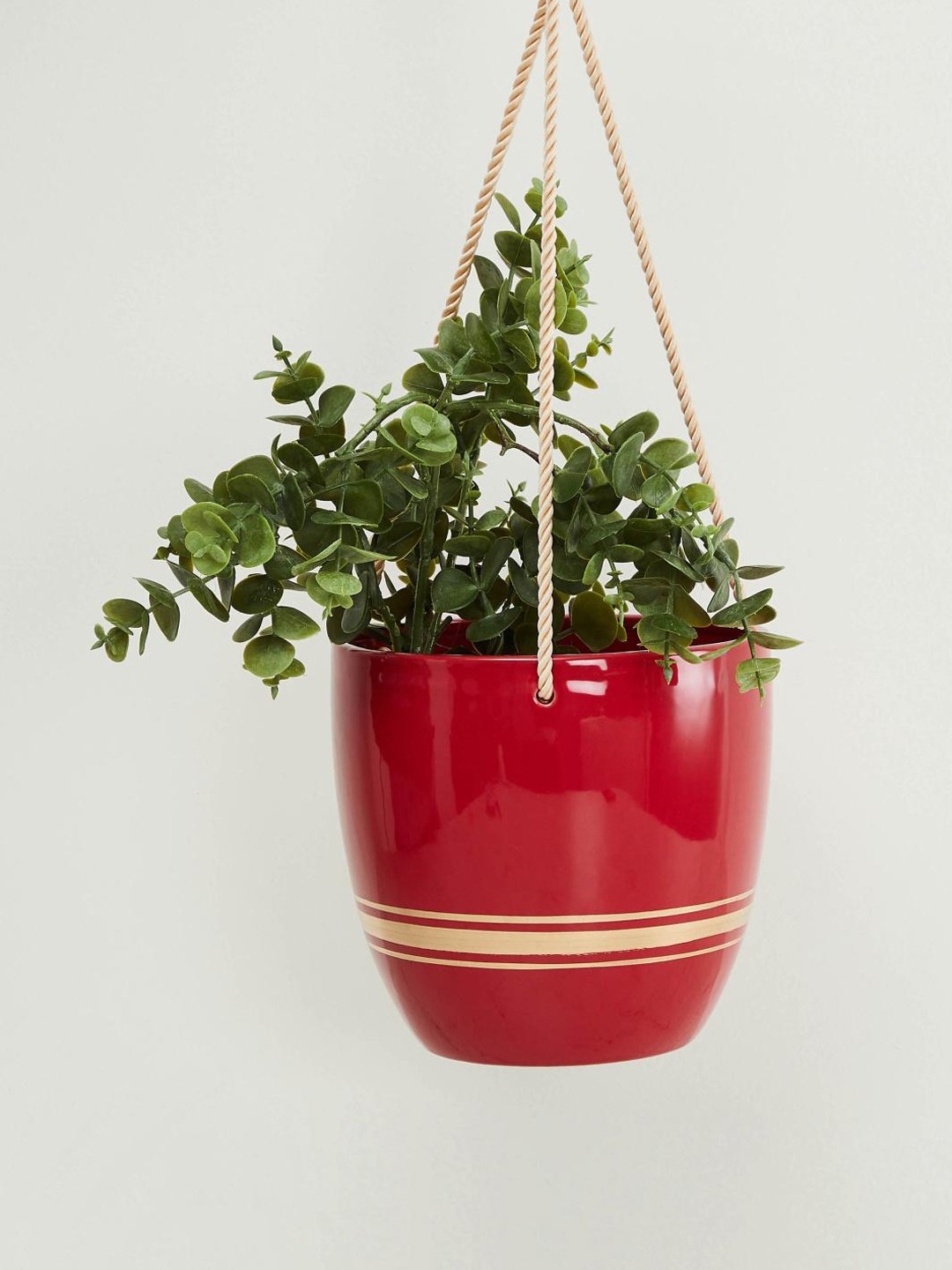 

Homecentre Multicoloured Valencia Solid Hanging Planter, Multi