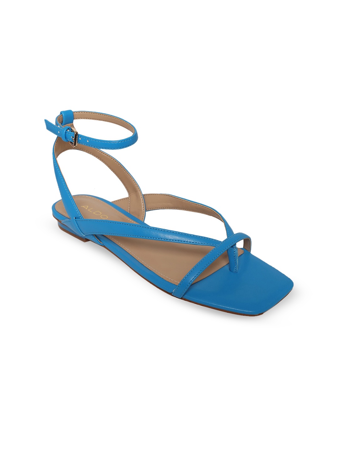 ALDO Women Blue Colourblocked Open Toe Flats with Buckles