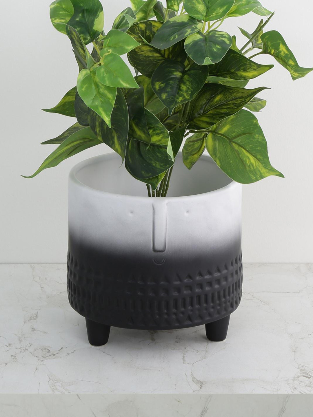 

Home Centre Black & White Valencia Face Embossed Planter
