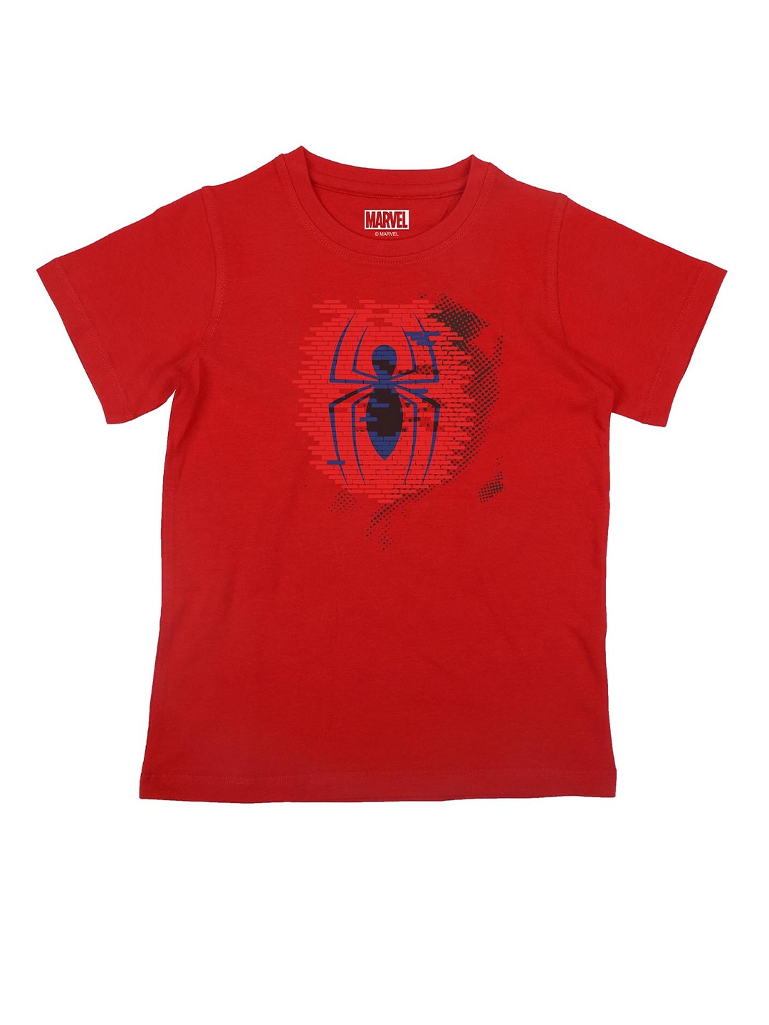 

Marvel by Wear Your Mind Boys Blue Printed Applique T-shirt
