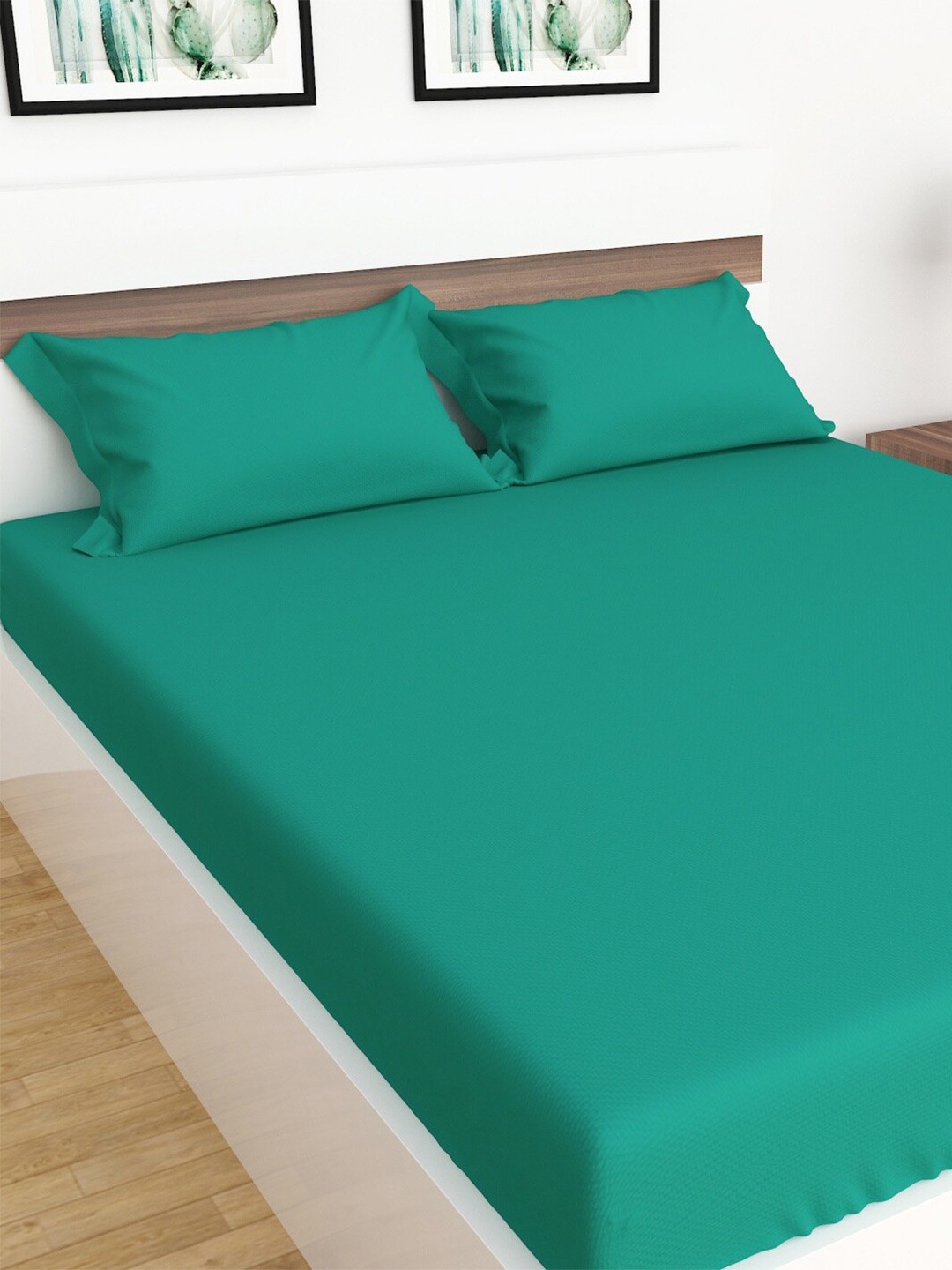 Home Centre Colour Connect 154 TC Anti-Bacterial Solid Queen Fitted Bedsheet Set, Green