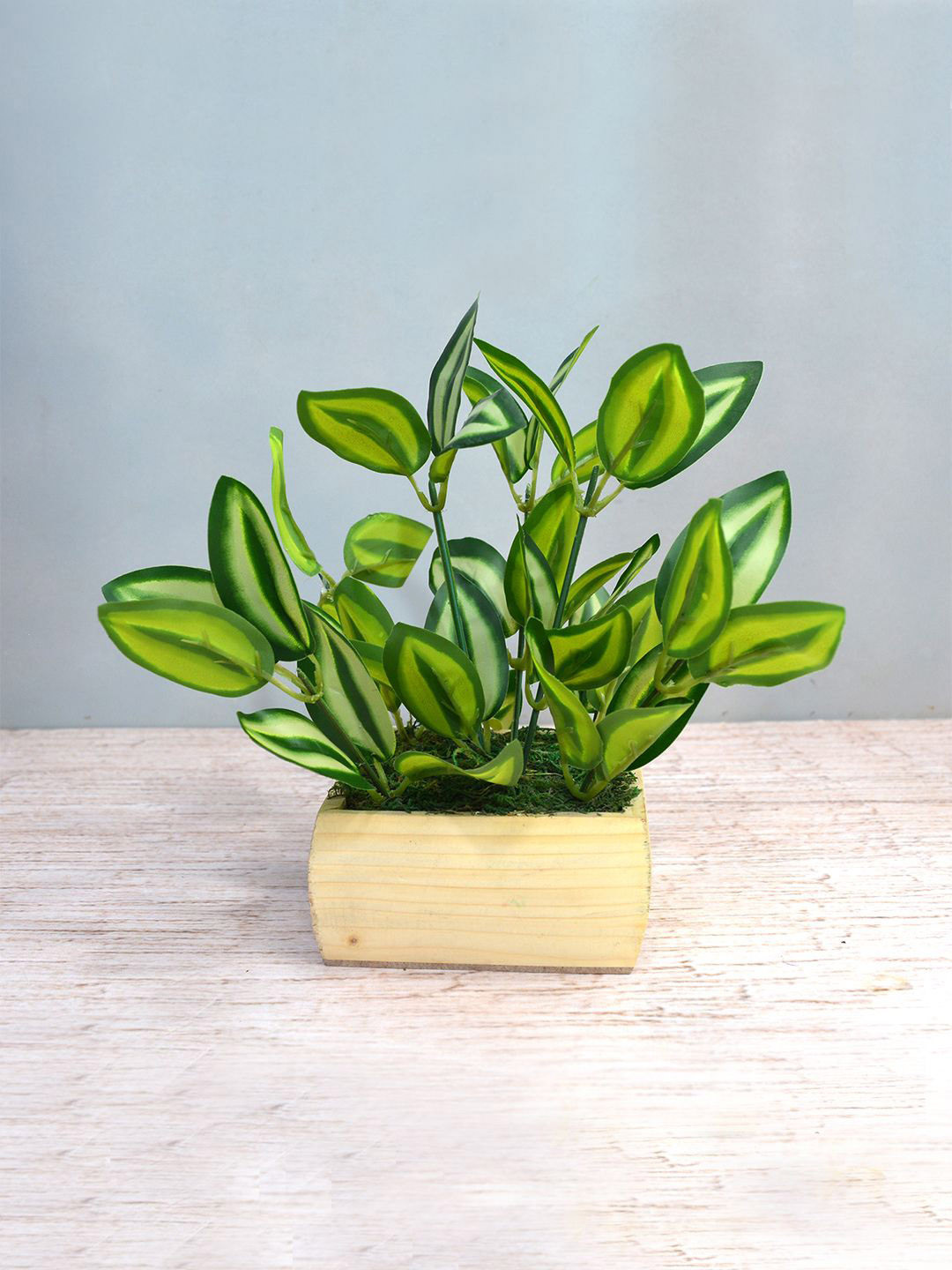 

fancy mart Green & Beige Artificial Plant Leaves In Square Wood Pot