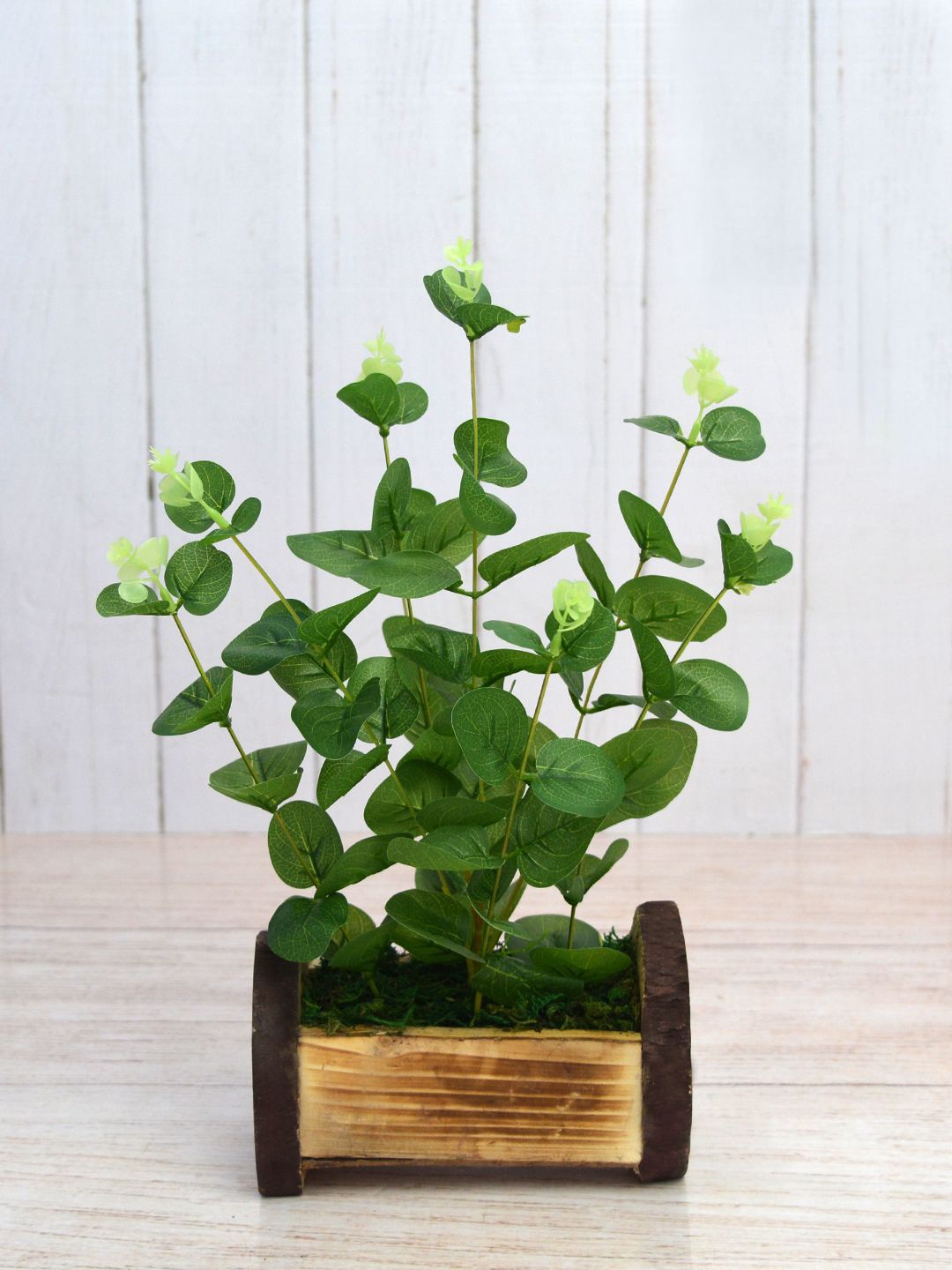 

fancy mart Unisex Green & Brown Artificial Butterfly Leaves In Buckle Pot