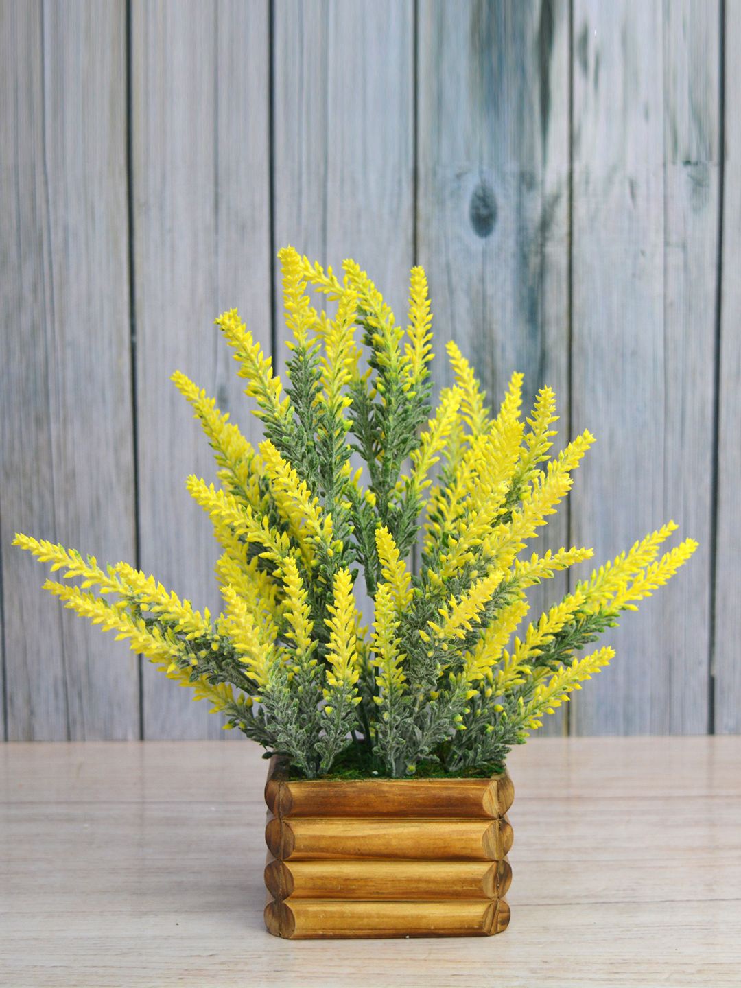 

fancy mart Yellow & Green Artificial Lavender Leaves In Pot