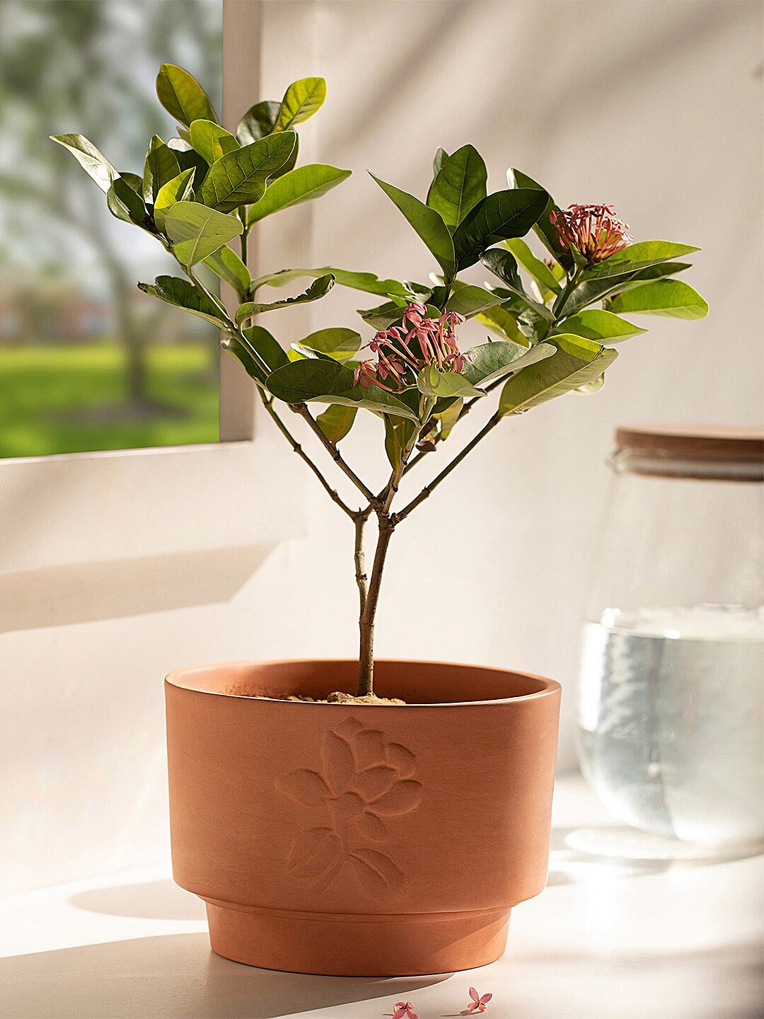 

ellementry Brown Teravak Embossed Planter
