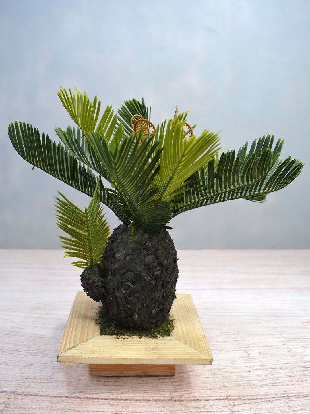 

fancy mart Green Artificial Cypress Bonsai In Black Wood Pot