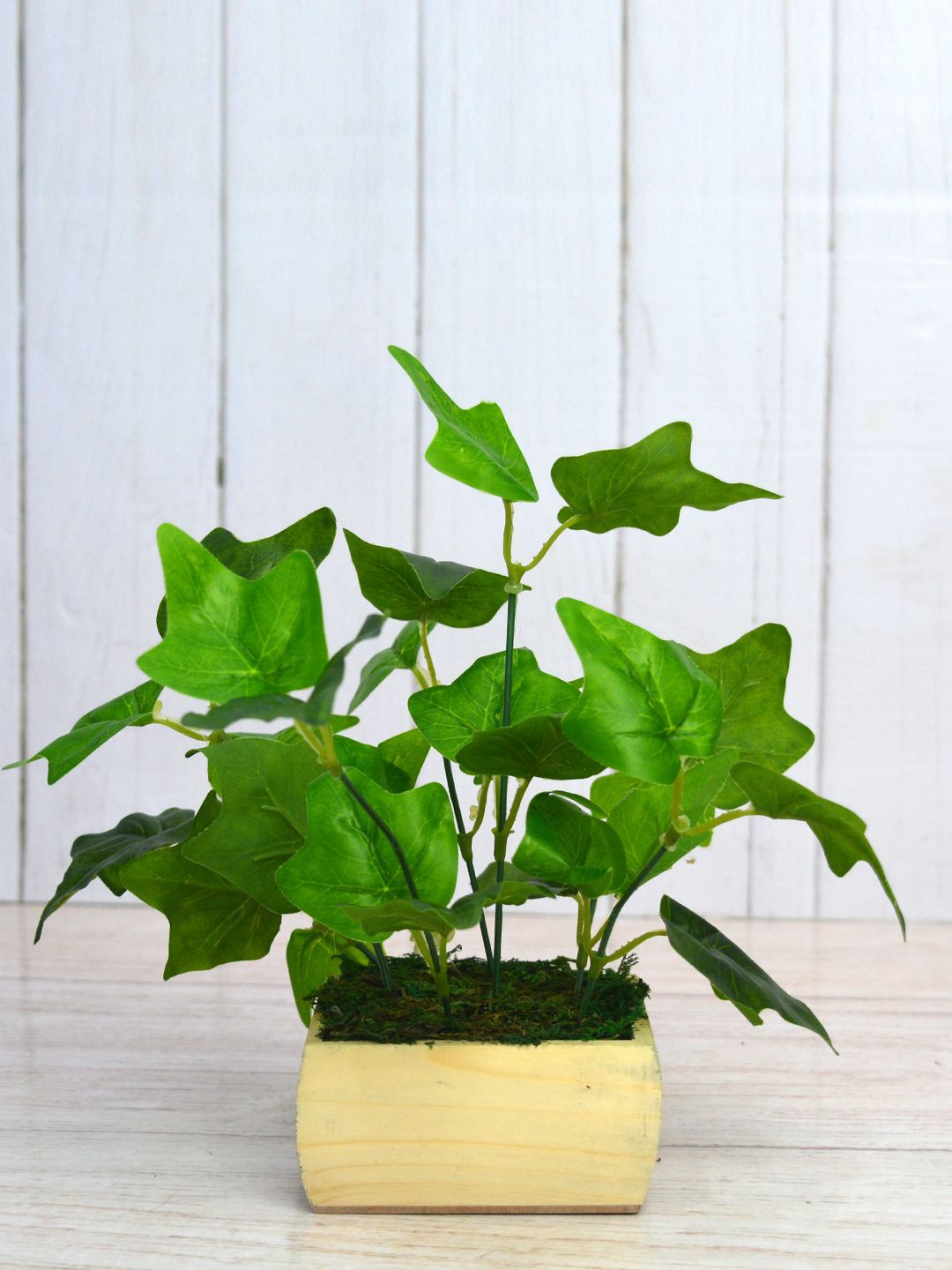 

fancy mart Green Artificial Angoor Patta With Yellow Pot