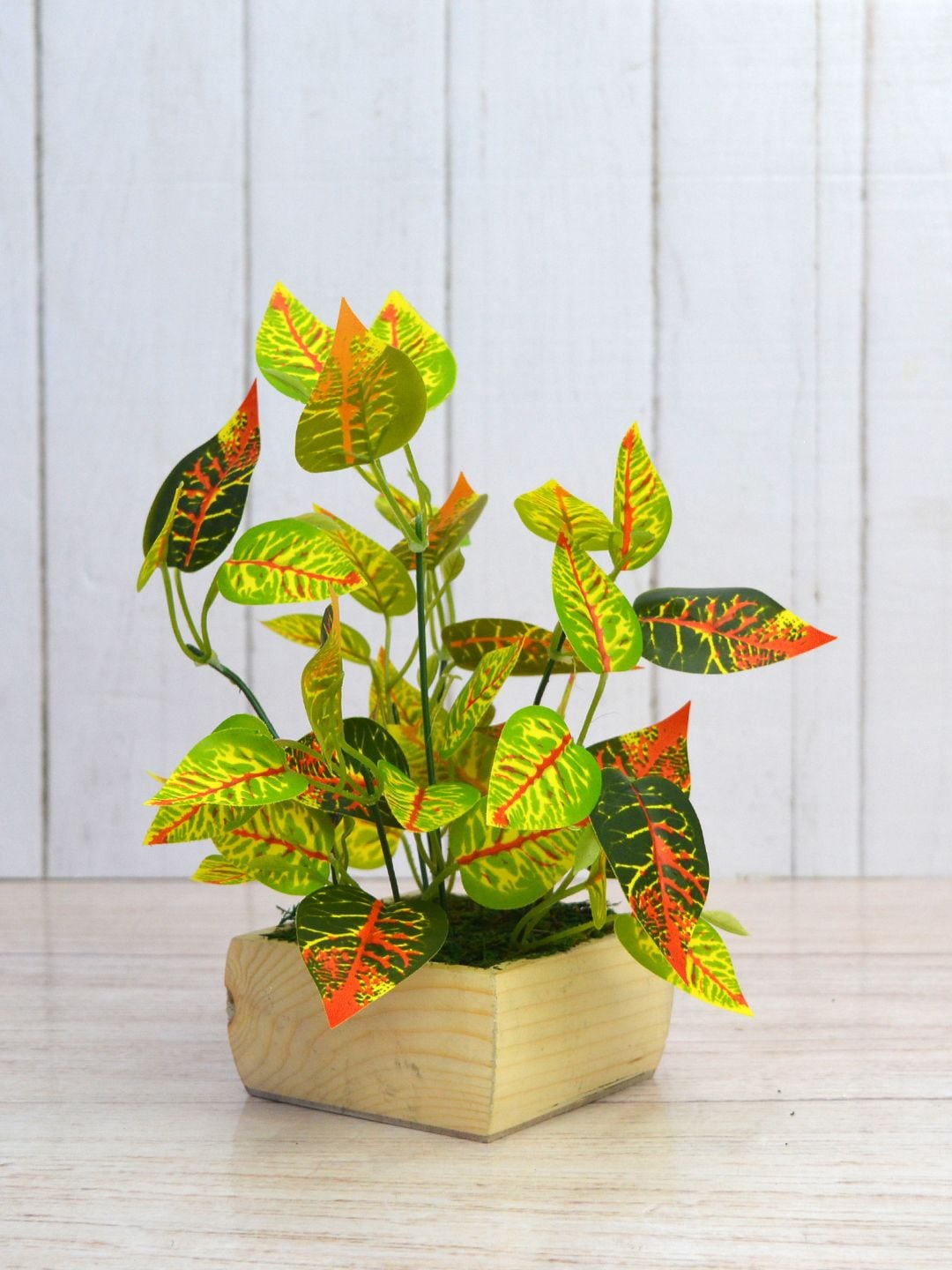 

fancy mart Green & Orange Artificial Croton Plant Leaves With Beige Pot