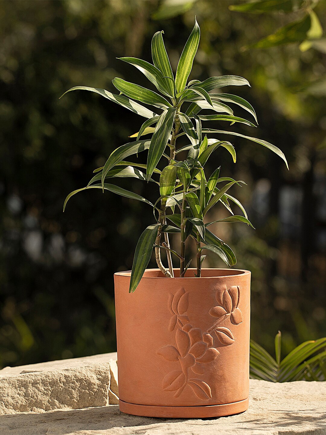 

ellementry Brown Tall Teravak Embossed Planter