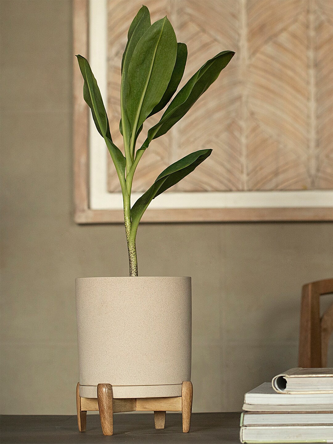 

ellementry Cream-Coloured Textured Ceramic Planter With Wooden Stand