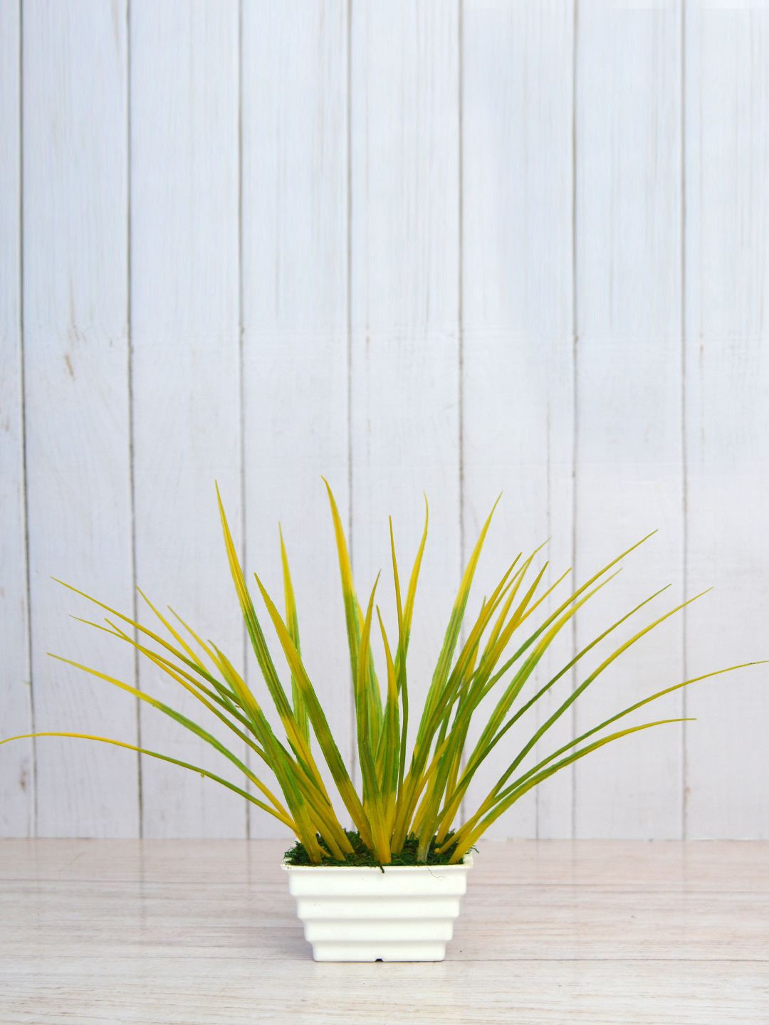 

fancy mart Yellow & Green Artificial Lemon Grass In Pot