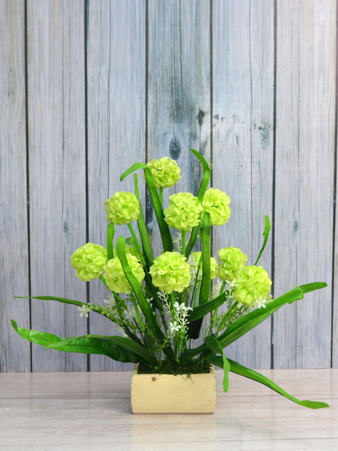 

fancy mart Green & Beige Artificial Delia Round Flower in Square Wood Pot