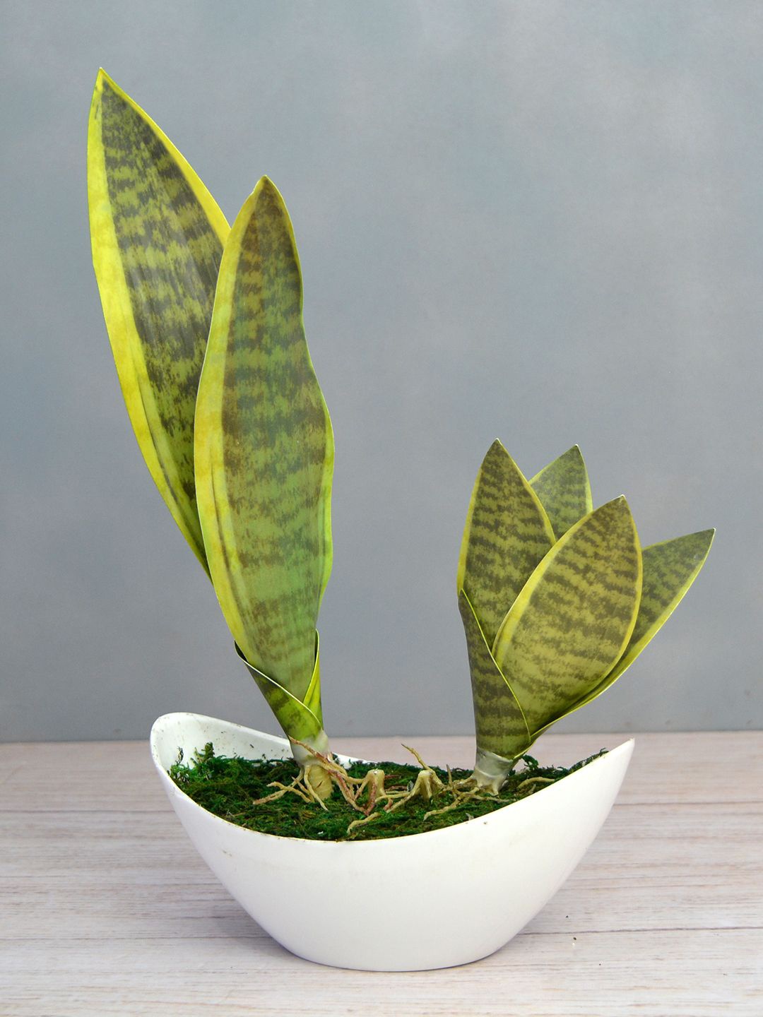 

fancy mart Green Artificial Snake Plant With White Boat Pot