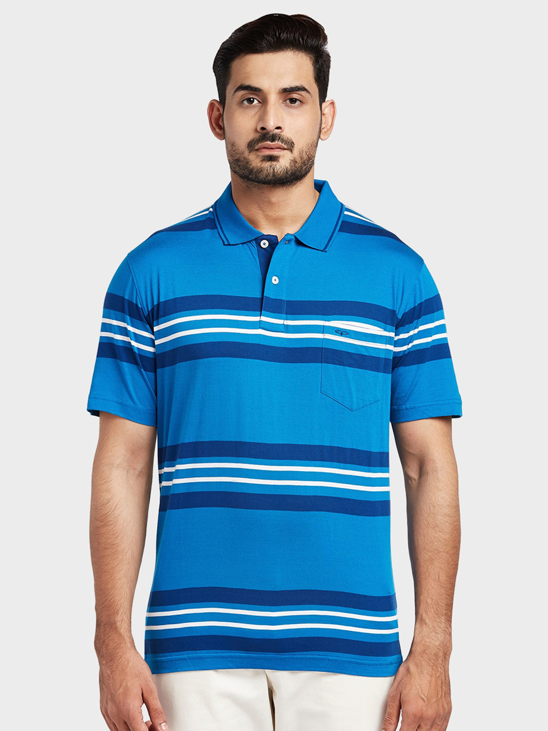 

ColorPlus Men Blue & Off White Striped Polo Collar T-shirt