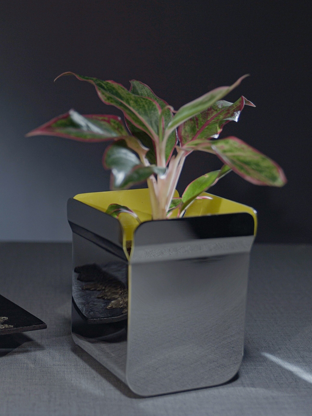 

ARTTDINOX Steel-Toned Handcrafted Urban Small Stainless Steel Planter
